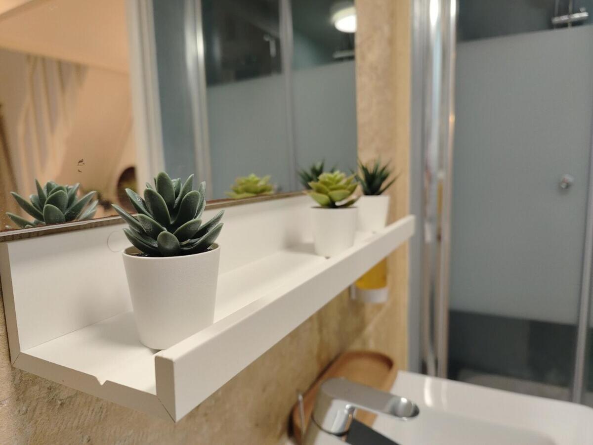 캉 Studio Lumineux Et Fleuri Idealement Situe 아파트 외부 사진